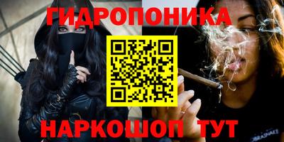 СК Гатчина