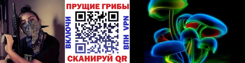 купить закладку  Зерноград  Псилоцибиновые грибы ЛСД 