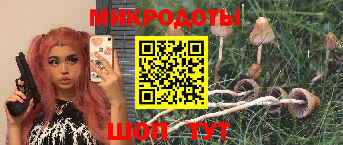 Галлюциногенные грибы мухоморы  Вход с VPN  Зерноград 