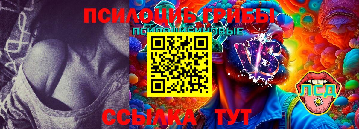 Галлюциногенные грибы Cubensis Зерноград