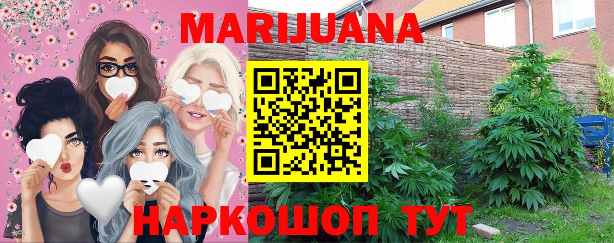 Конопля OG Kush  Вход с VPN  Шишки марихуана семена  Бошки марихуана THC 21%  Зерноград 